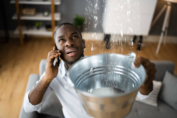 Best Flood damage cleanup  in Vernon, WI