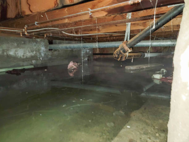 Best Water damage contractors near me  in Vernon, WI