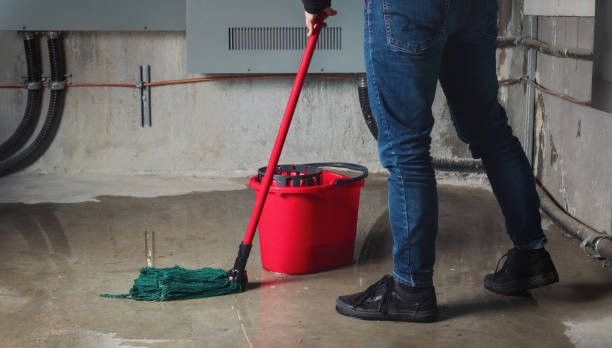Best Water damage restoration services  in Vernon, WI