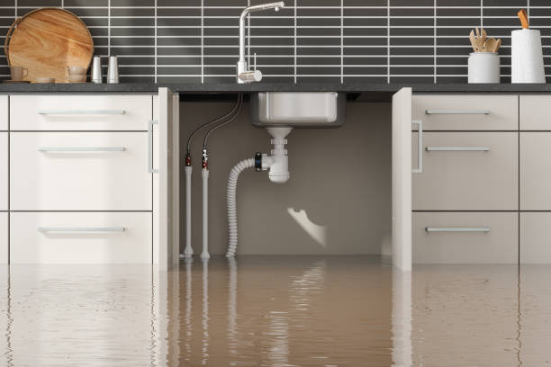 Best Mold removal after water damage  in Vernon, WI
